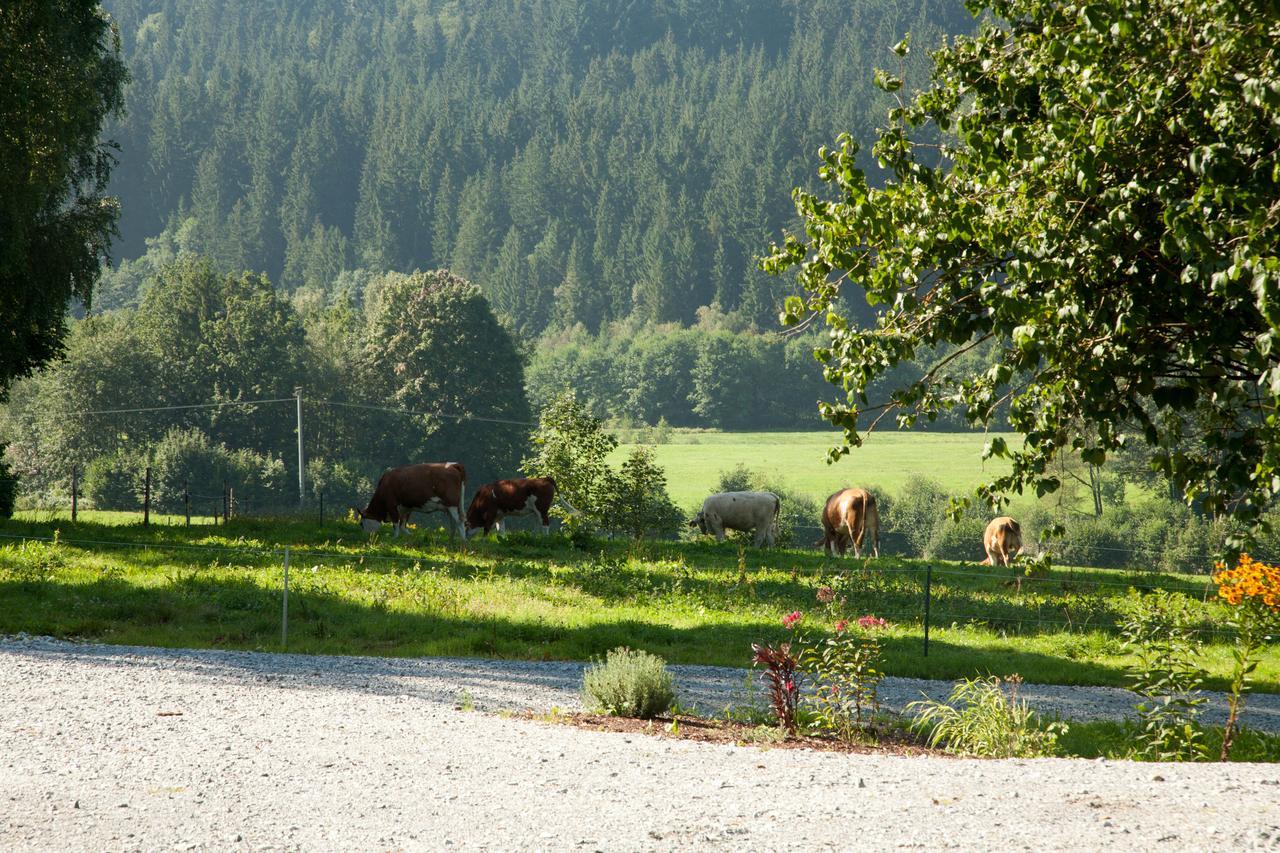 Landhotel Bayerwald Grafling Exterior photo